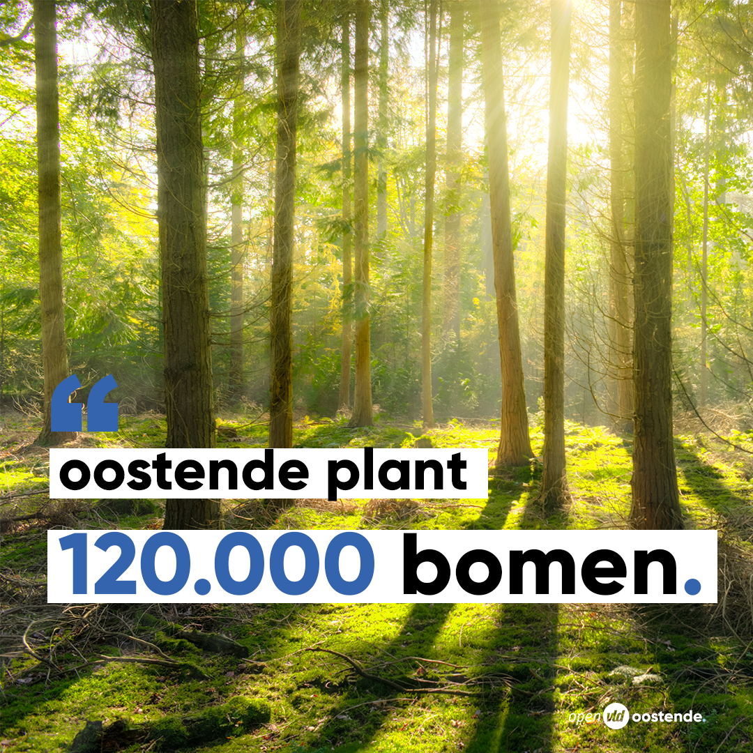 Nu al 1,2 miljoen extra bomen dankzij lokale besturen